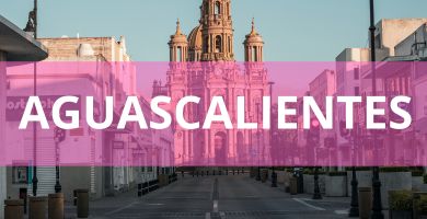 Estéticas caninas a domicilio estetica canina domicilio Aguascalientes
