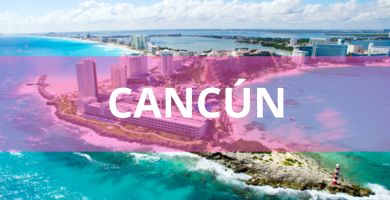 Estéticas caninas a domicilio Estéticas Caninas en Cancún