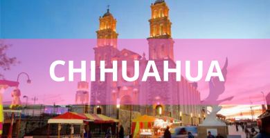 Estéticas caninas a domicilio Estéticas Caninas en Chihuahua