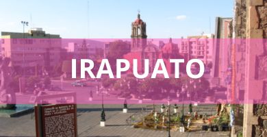 Estéticas caninas a domicilio Estéticas Caninas en Irapuato
