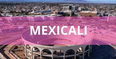 Estéticas caninas a domicilio Estéticas Caninas en Mexicali