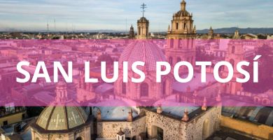 Estéticas caninas a domicilio estetica canina domicilio San Luis Potosí