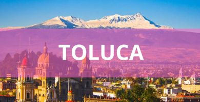 Estéticas caninas a domicilio Estéticas Caninas en Toluca