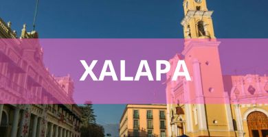 Estéticas caninas a domicilio Estéticas Caninas en Xalapa