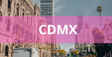 Estéticas caninas a domicilio estetica canina domicilio cdmx