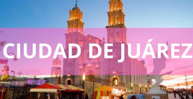 Estéticas caninas a domicilio Estéticas Caninas en Ciudad de Juárez