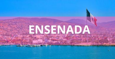 Estéticas caninas a domicilio Estéticas Caninas en Ensenada