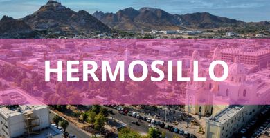 Estéticas caninas a domicilio Estéticas Caninas en Hermosillo