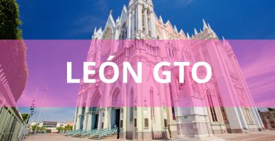 Estéticas caninas a domicilio Estéticas Caninas en León gto