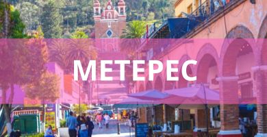 Estéticas caninas a domicilio Estéticas Caninas en Metepec