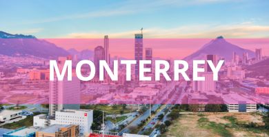 Estéticas caninas a domicilio Estéticas Caninas en Monterrey