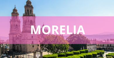 Estéticas caninas a domicilio Estéticas Caninas en Morelia