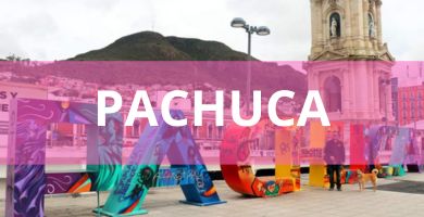 Estéticas caninas a domicilio Estéticas Caninas en Pachuca