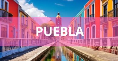 Estéticas caninas a domicilio Estéticas Caninas en Puebla