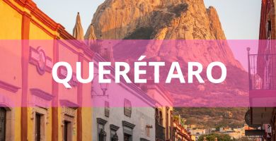 Estéticas caninas a domicilio Estéticas Caninas en Querétaro