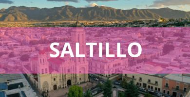 Estéticas caninas a domicilio Estéticas Caninas en Saltillo