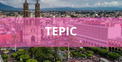 Estéticas caninas a domicilio Estéticas Caninas en Tepic
