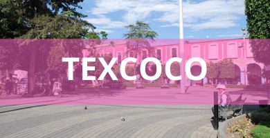 Estéticas caninas a domicilio estetica canina domicilio texcoco